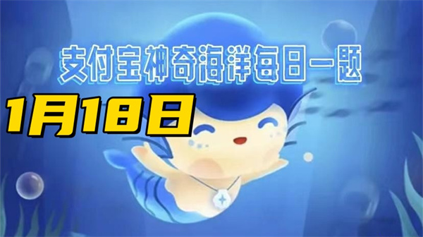 神奇海洋1月18日答案2025：海豚的迁徙路线是怎样的