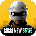 pubgnewstate国际版