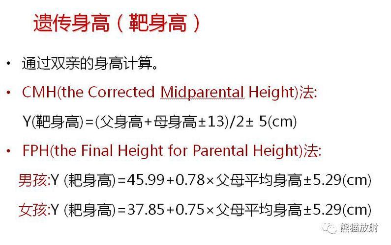 height是什么意思中文(height意思中文，丈量身高的方式)