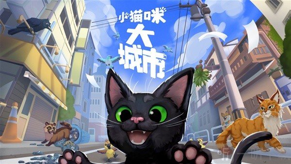 小猫咪大城市游戏售价-小猫咪大城市游戏多少钱