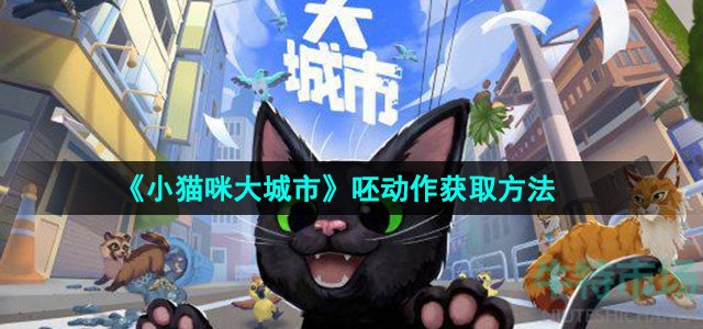 小猫咪大城市呸动作怎么获得-呸动作获取方法