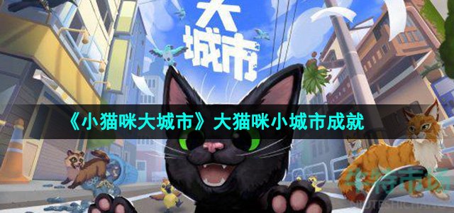 小猫咪大城市成就大猫咪小城市怎么获得-大猫咪小城市成就攻略