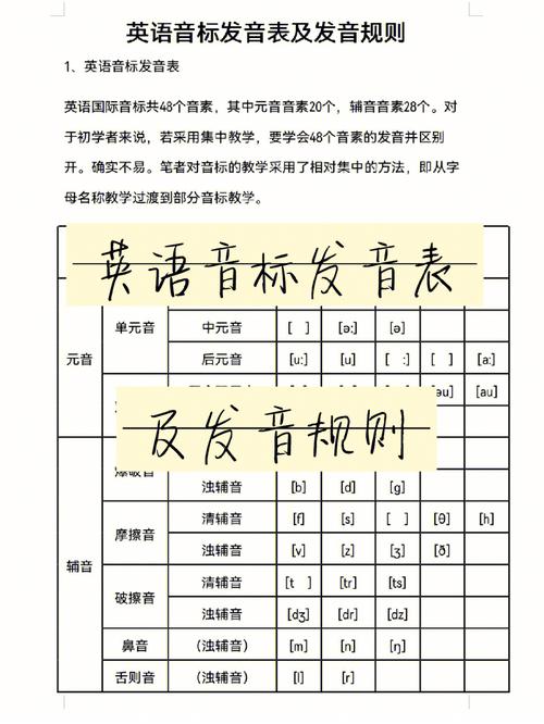 英语音标发音表读法(英语音标发音表读法中文翻译)