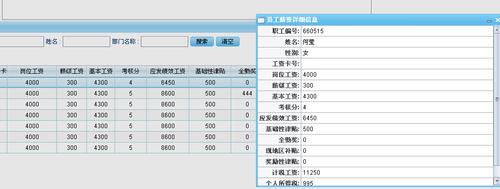 员工工资管理系统(工资信息系统)