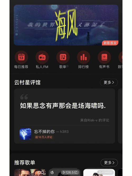 网易云音乐网站(网易云音乐网页版)