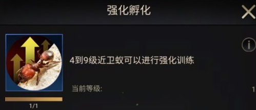 小小蚁国中期进化怎么选 类型选择推荐