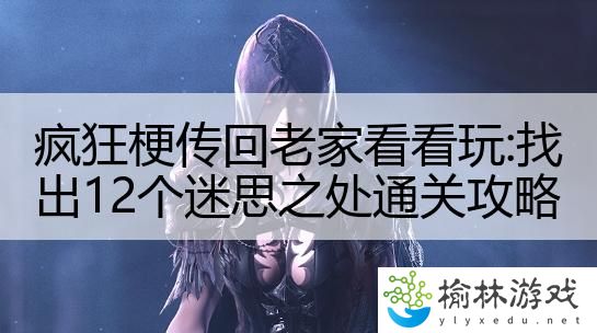 疯狂梗传回老家看看玩:找出12个迷思之处通关攻略