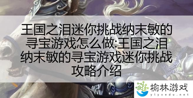 王国之泪迷你挑战纳末敏的寻宝游戏怎么做:王国之泪纳末敏的寻宝游戏迷你挑战攻略介绍