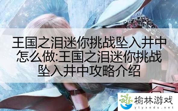 王国之泪迷你挑战坠入井中怎么做:王国之泪迷你挑战坠入井中攻略介绍