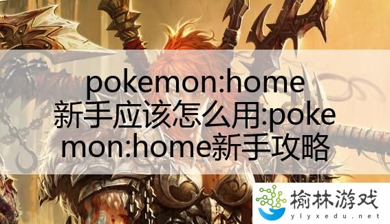 pokemon:home新手应该怎么用:pokemon:home新手攻略