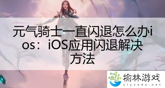 元气骑士一直闪退怎么办ios：iOS应用闪退解决方法