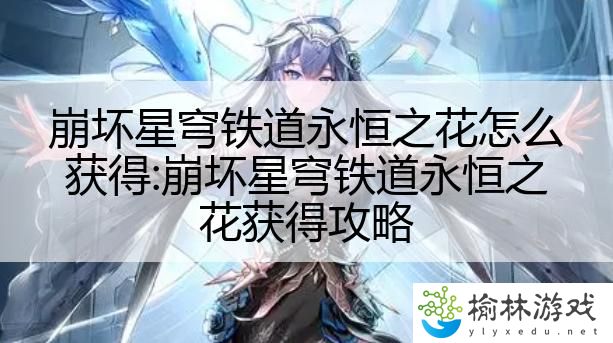 崩坏星穹铁道永恒之花怎么获得:崩坏星穹铁道永恒之花获得攻略