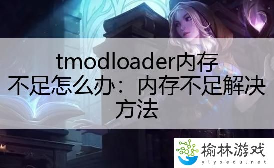 tmodloader内存不足怎么办：内存不足解决方法