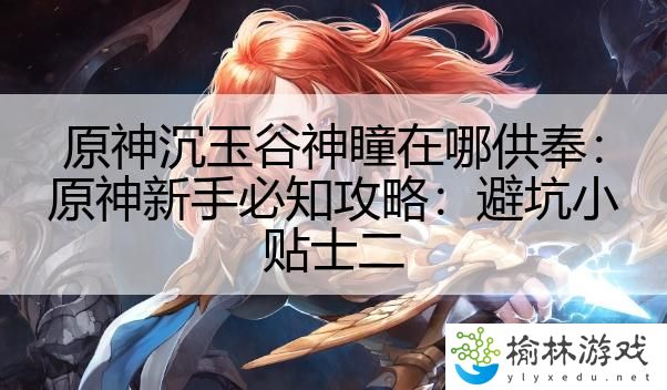 原神沉玉谷神瞳在哪供奉：原神新手必知攻略：避坑小贴士二