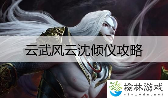 云武风云沈倾仪攻略