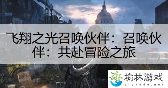 飞翔之光召唤伙伴：召唤伙伴：共赴冒险之旅