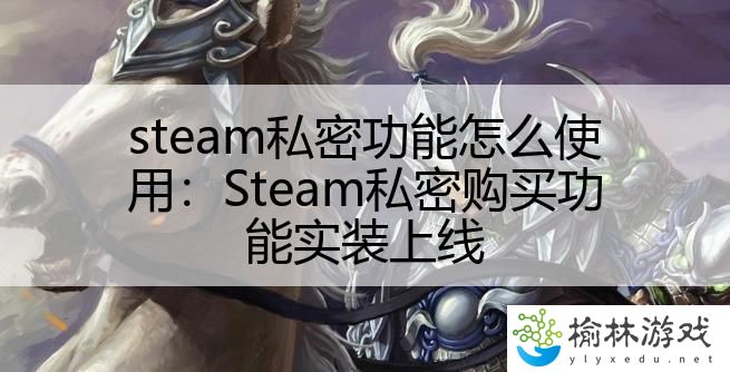 steam私密功能怎么使用：Steam私密购买功能实装上线