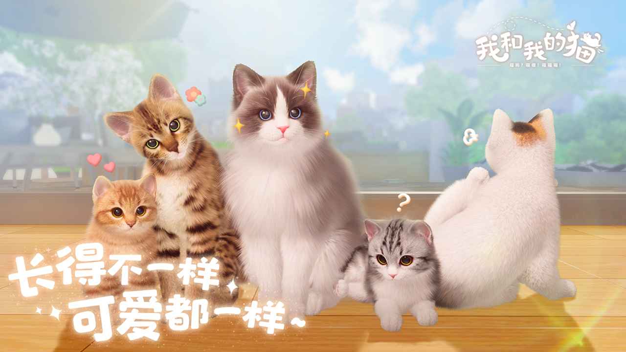 我与我的猫