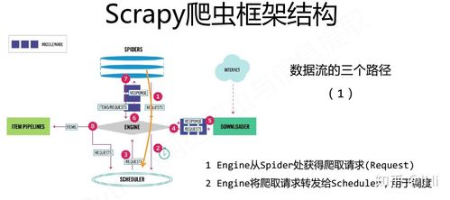 python爬虫怎么学(Python爬虫实战指南：从基础到高级)