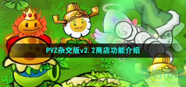 植物大战僵尸杂交版v2.2背包商店有什么功能