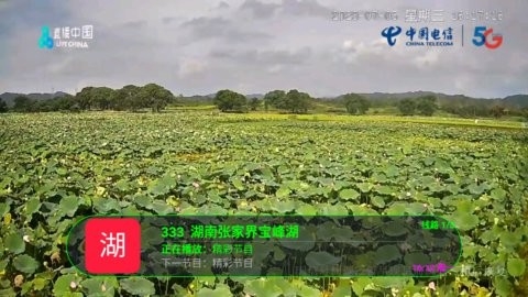 月兔TV电视盒子软件下载-月兔TV电视版下载v6.2.3